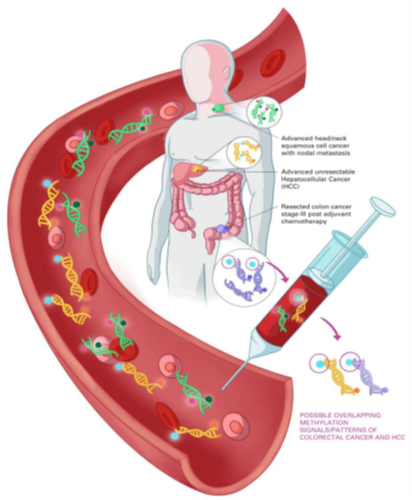 提携事例 — 遺伝子検査製品